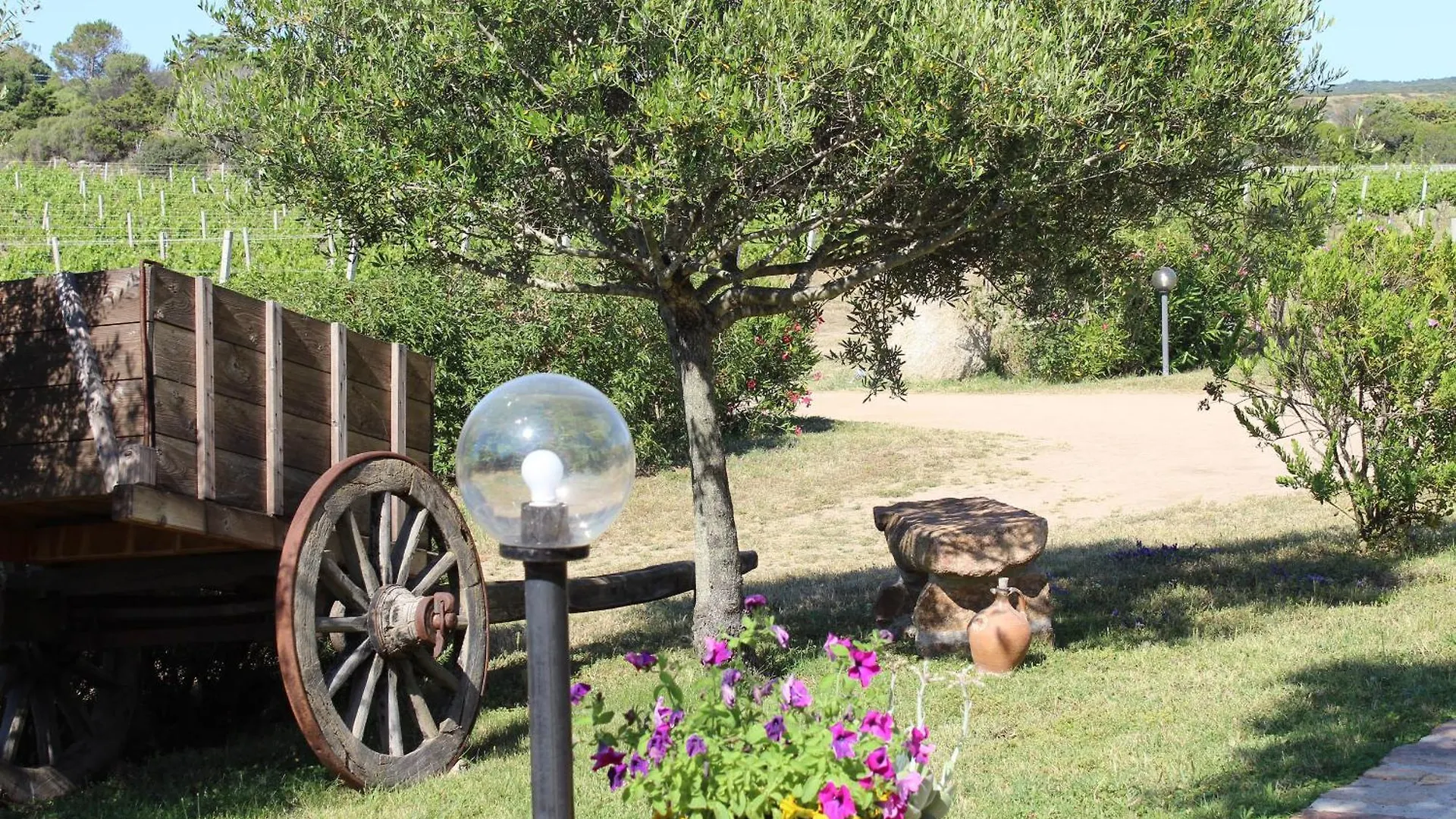 Agriturismo Campesi Casale Tra Le Vigne Aglientu Alloggio per agriturismo