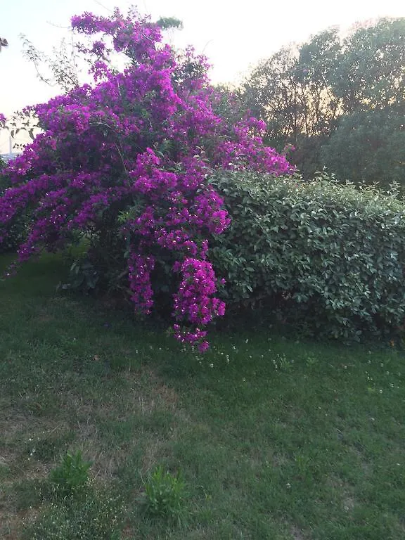 Agriturismo Campesi Casale Tra Le Vigne Aglientu Alloggio per agriturismo